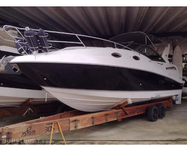 Focker 305 GT - 2015
