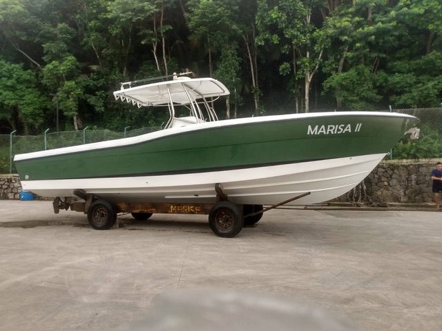 Fishing 32 pés + Parelha MWM Sprinter 260Hp  - 2004